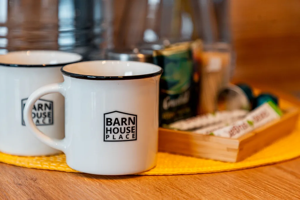 Квартира Студия с кухней в гостинице Barn House Guest в 20 км. от Экспофорума — Коммунар