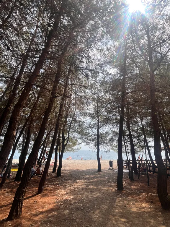 Коттедж Семейный коттедж в саду с видом на горы — Рапица