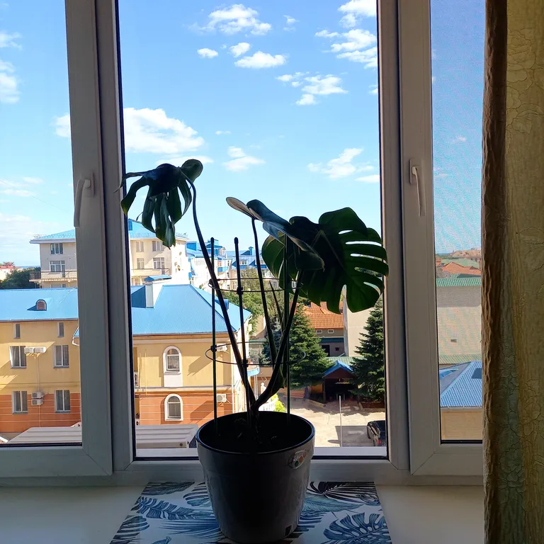 Квартира Однокомнатная квартира в курортной зоне с видом на море — Евпатория