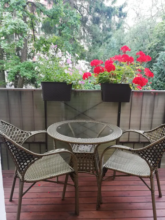 Квартира Современные апартаменты в старинном немецком доме — Светлогорск