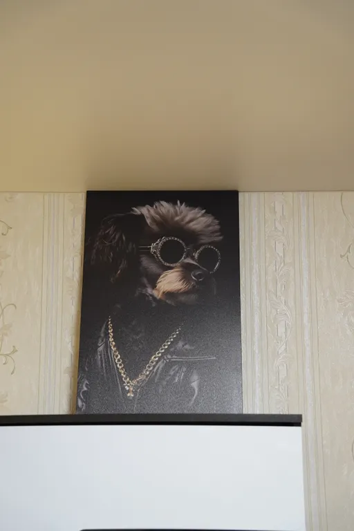 Просторная квартира рядом с сосновым бором у Днепра