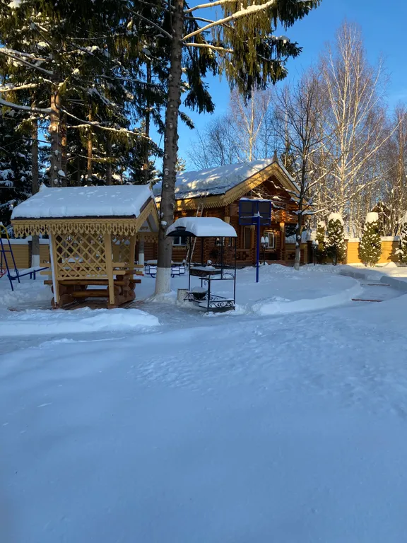 Терем в лесу