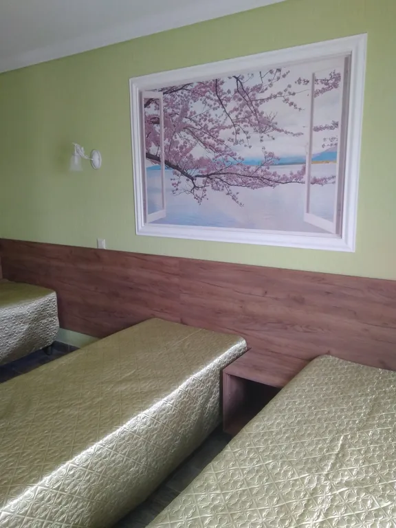 Квартира Квартира Четырехместные номера Зима, Весна, Лето, Осень — Витино