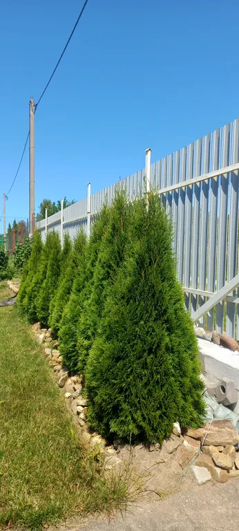 Дом с видом на море и отдельно стоящей баней.