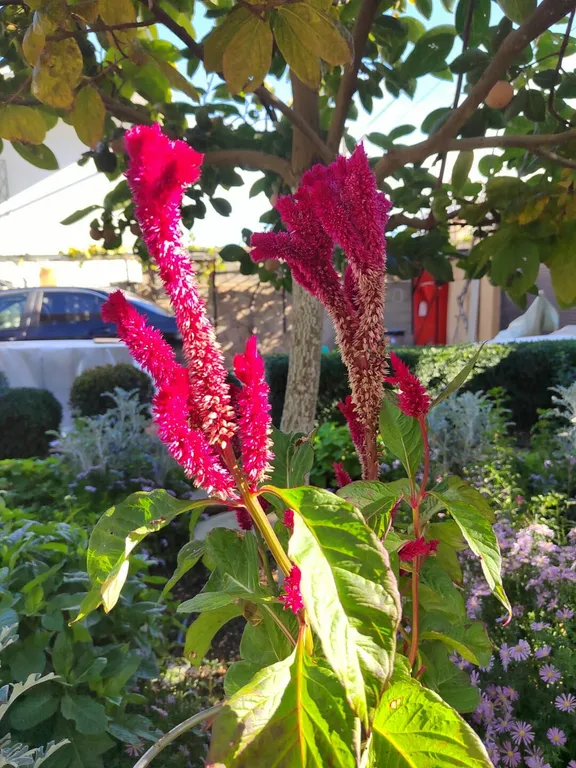 Коттедж Отдельная часть дома с беседкой рядом с парком и пляжем Учкуевка — Севастополь