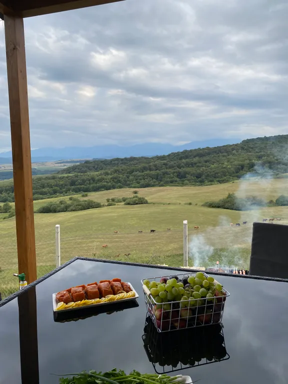 Домик на холме с видом на лес и горы