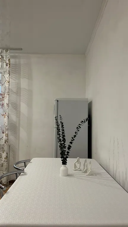 Большая, уютная квартира