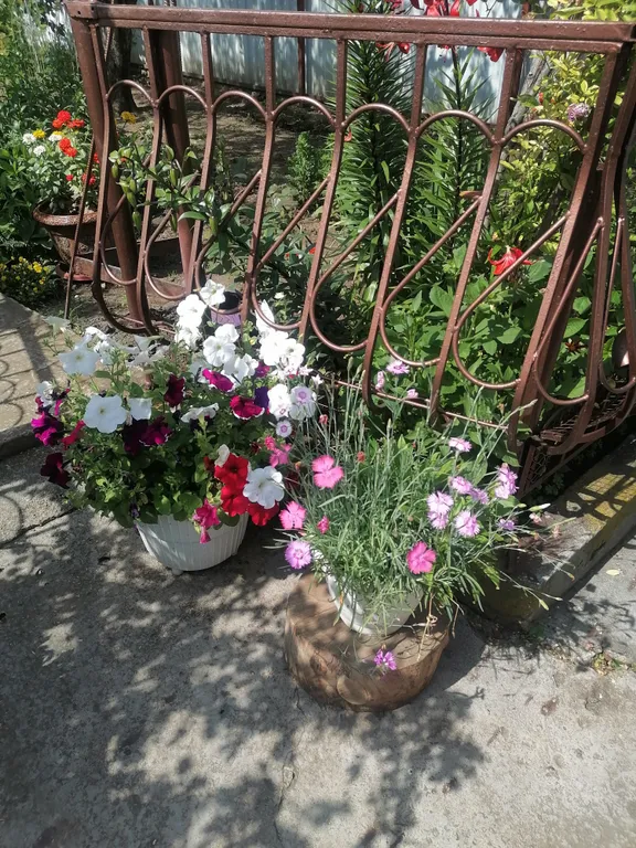 Коттедж Небольшой, уютный дом в центре города — Кисловодск