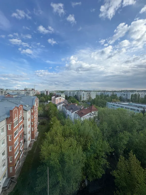 Квартира рядом с Коллажем, памятником Победы