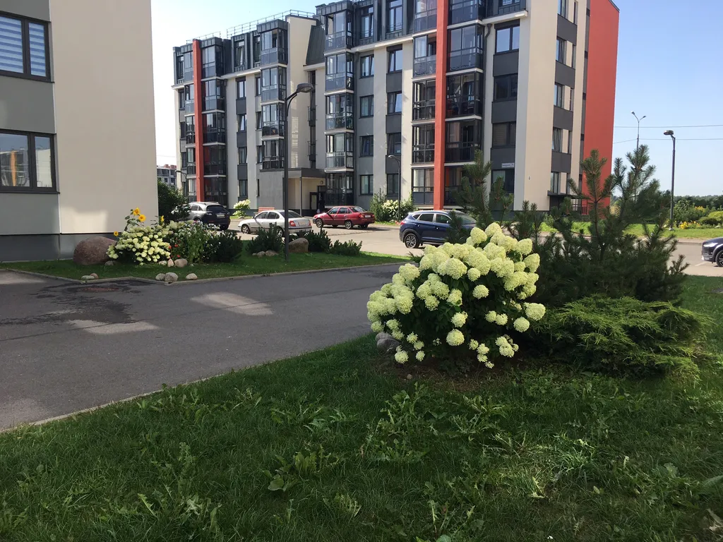 Квартира Уютная квартира в окружении парков — Пушкин