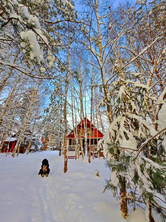 Вишнёвый домик в Махре