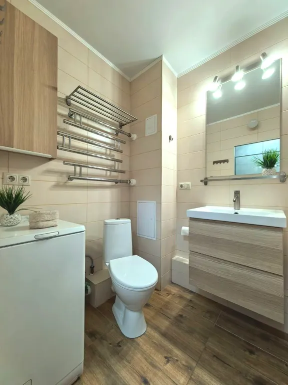 Scandinavian Style Apartment