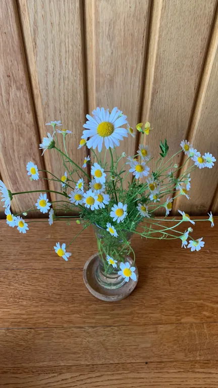 Уют в деревне