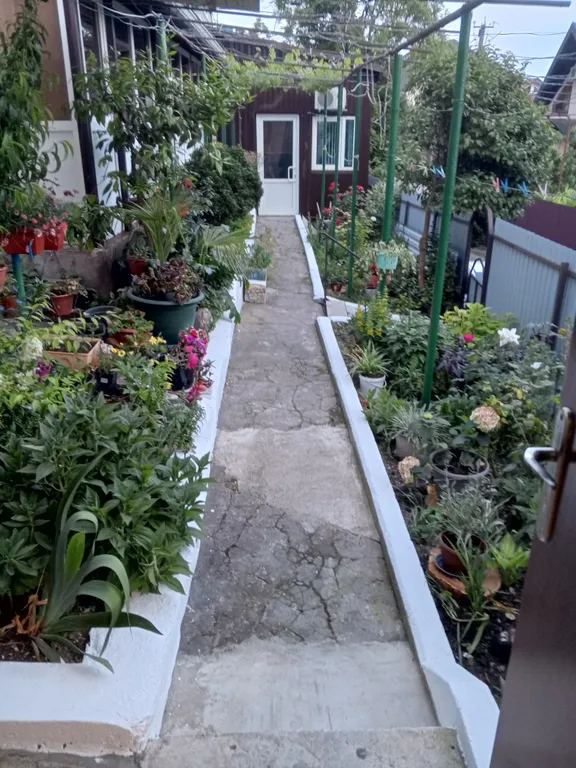 Комната с отдельным входом в частном секторе с видом на море