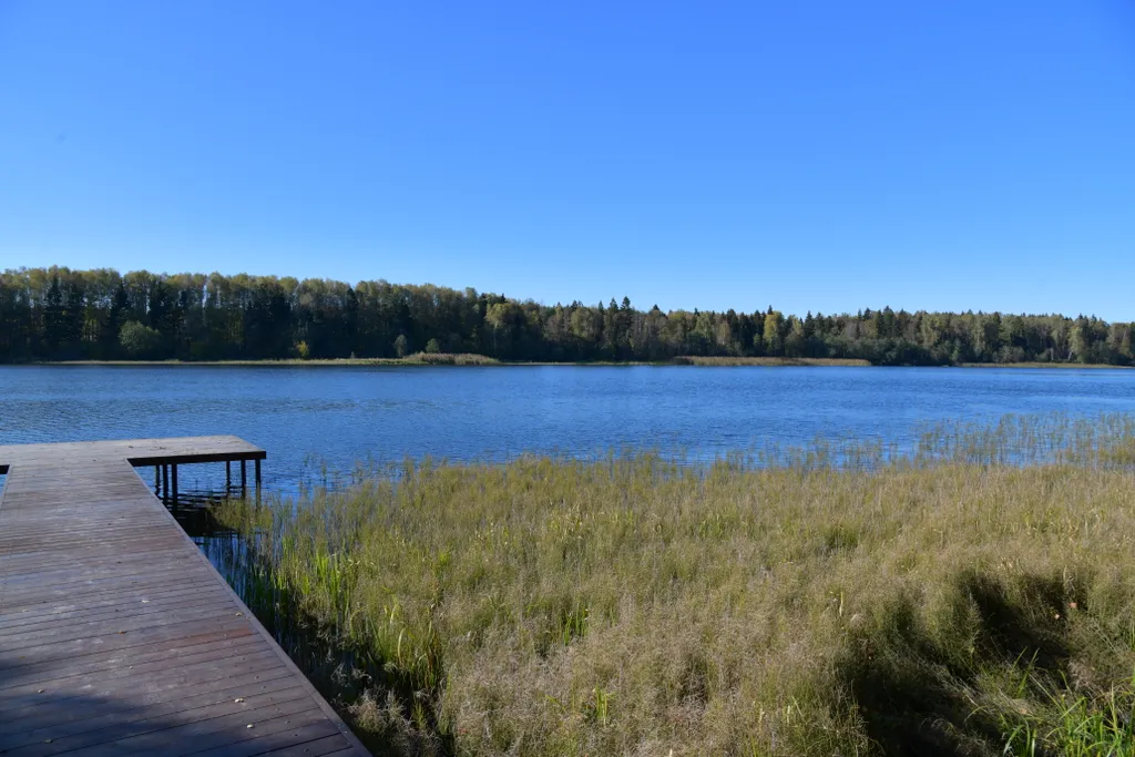Дом с панорамными окнами в чаще леса у берега реки