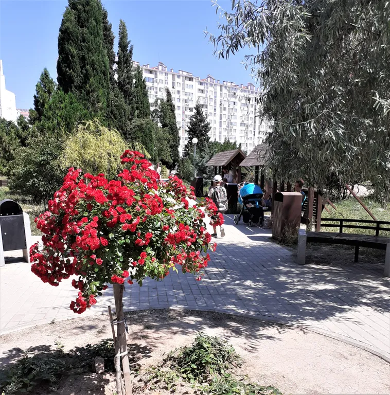 Квартира Уютная квартира у моря — Севастополь