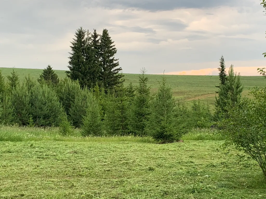 Уютный дом с баней на территории с парковой зоной
