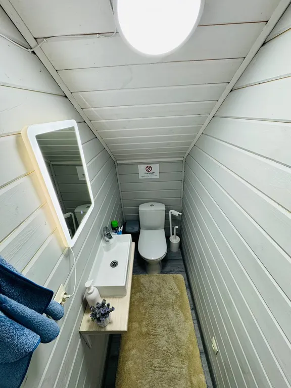 Семейный дом с баней в березовой роще