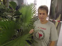 Маргарита