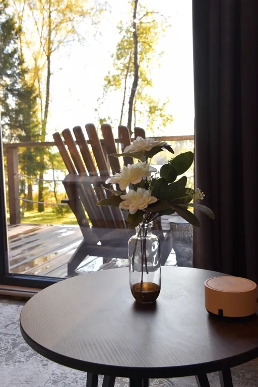 Дом на семью или компанию в лесу у большой воды