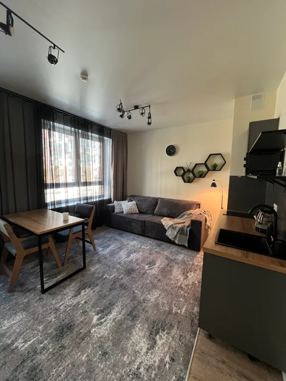 Квартира Студия в стиле Лофт в ЖК Пригород Лесное — Мисайлово