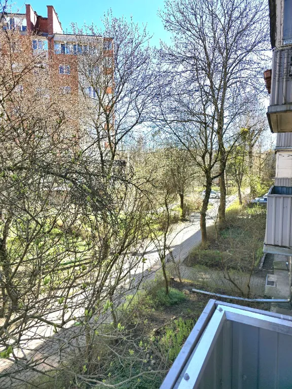 Квартира Яркая квартира в центре Калининграда — Калининград