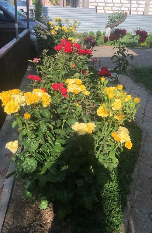 С бассейном рядом с морем