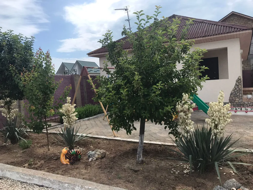 Частный сектор