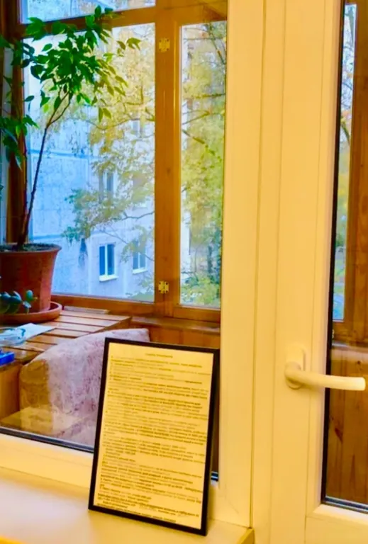 Апартаменты Драная кошка