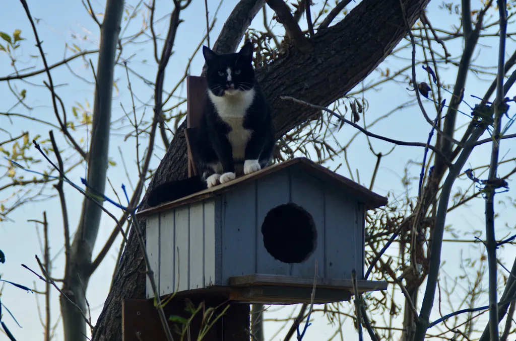 Квартира на Приморской