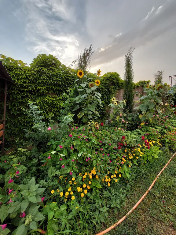 Стандартный номер на троих