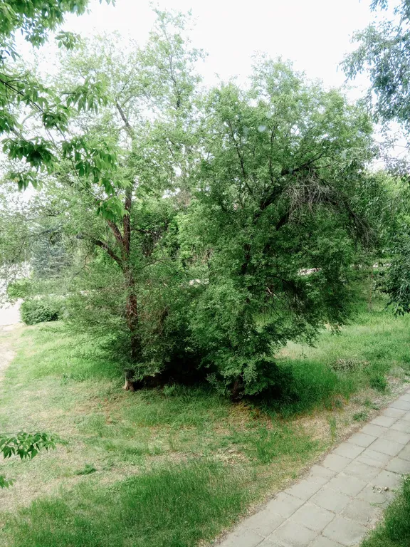 Уютная квартира у пляжа в центре города