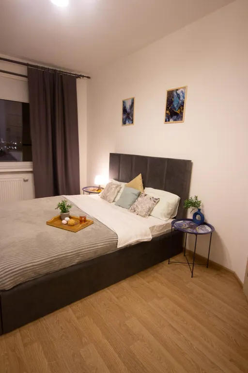 1-комнатная квартира у Меги