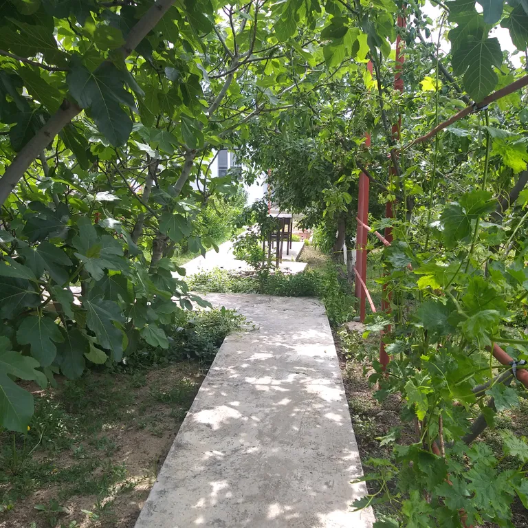 Коттедж Уютный домик в центре солнечной долины — Солнечная Долина