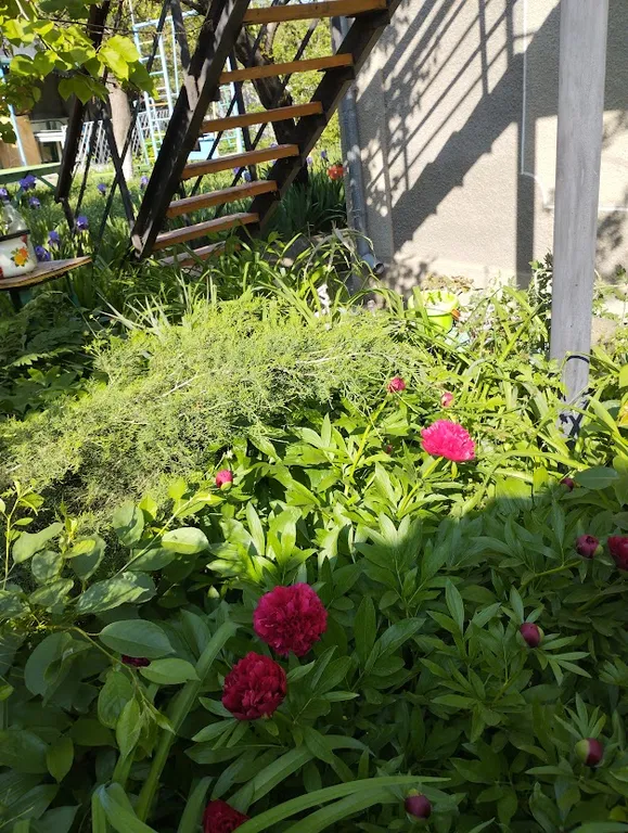 Комната с видом на осенний двор и сад