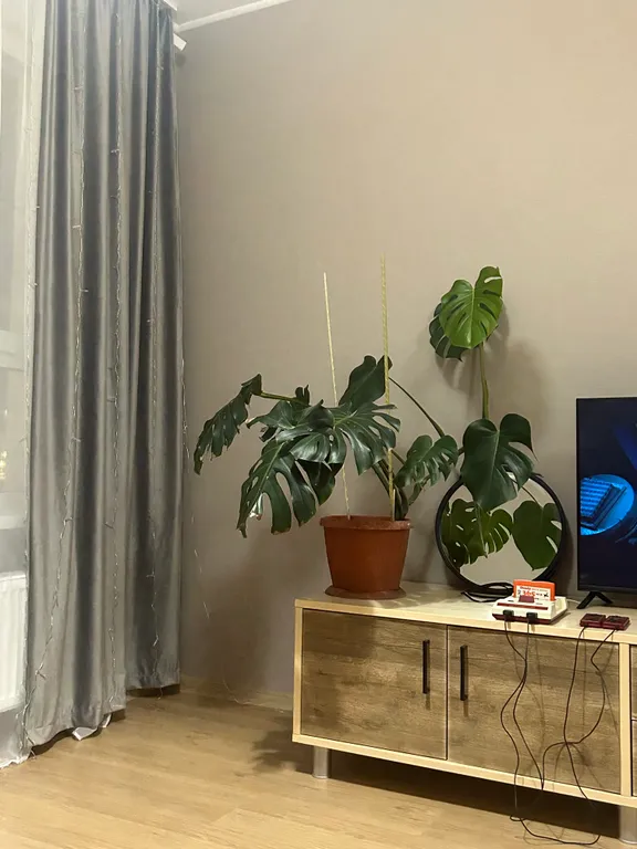 Квартира Новая квартира — Екатеринбург