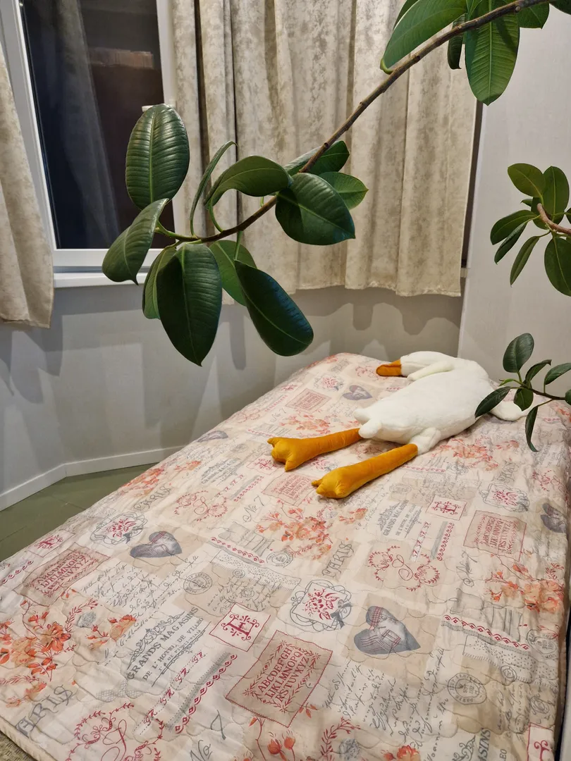 Балкон со спальным местом
