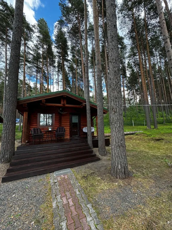 Дом с верандой из бревна у озера