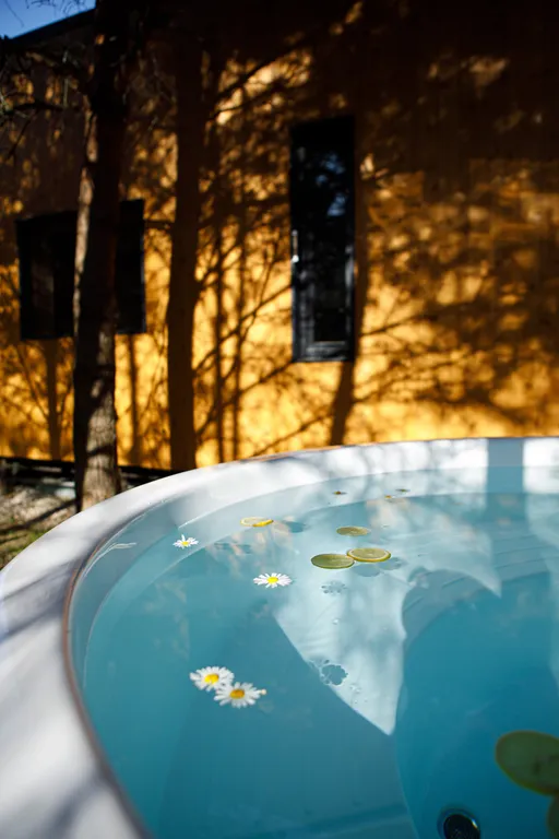 Дом с сауной и горячим чаном на участке с соснами