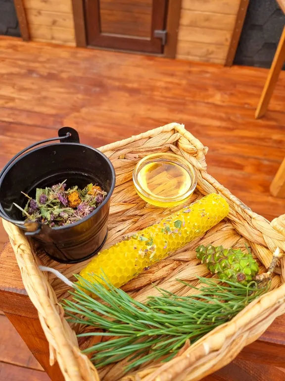 Дома возле Катуни среди гор