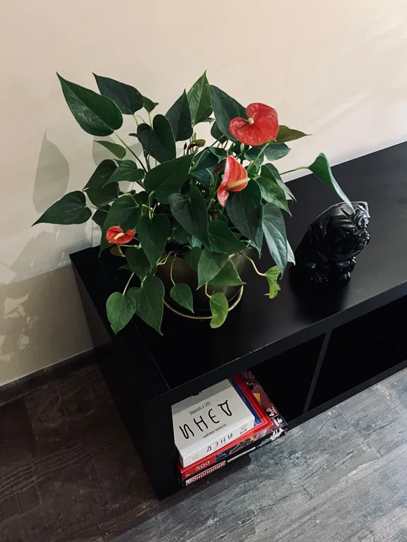 Коттедж Уютный коттедж со всеми удобствами — Янино-1