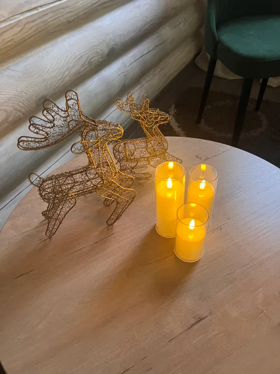 Коттедж в сосновом бору