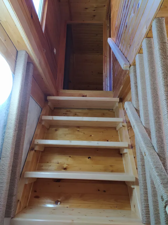 Дом через сосновый лес у Балтийского моря