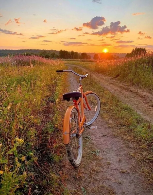 Дом с пятнистыми оленями и кроликами в лесу