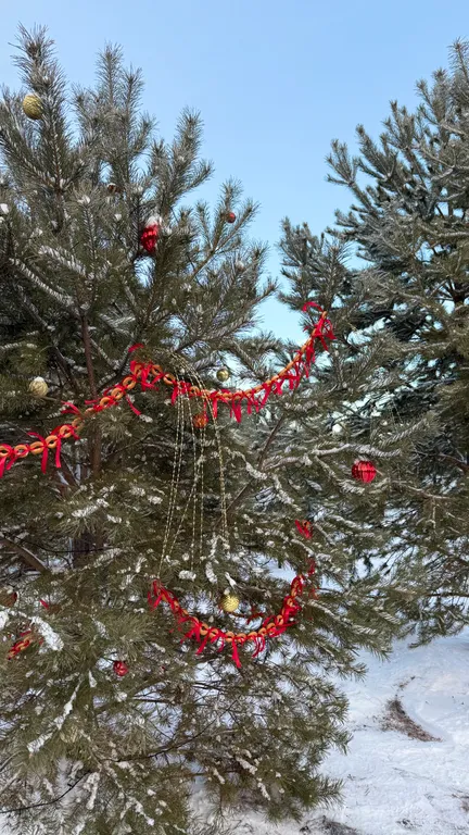 Домик в своем маленьком лесу