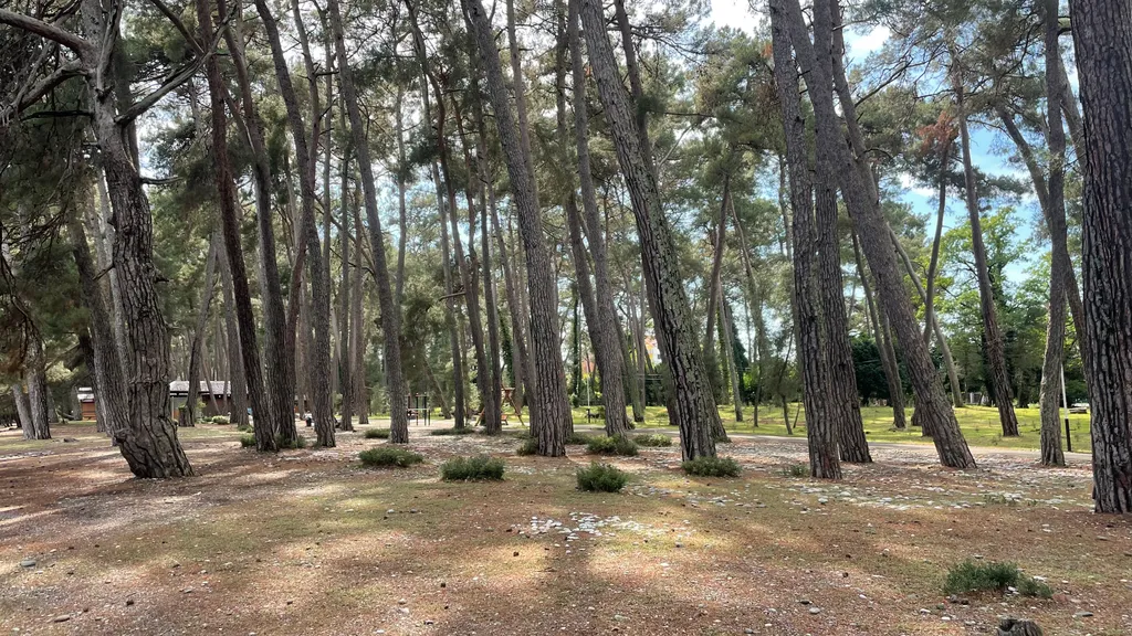 Дом-шалаш с собственной кухней Лдзаа