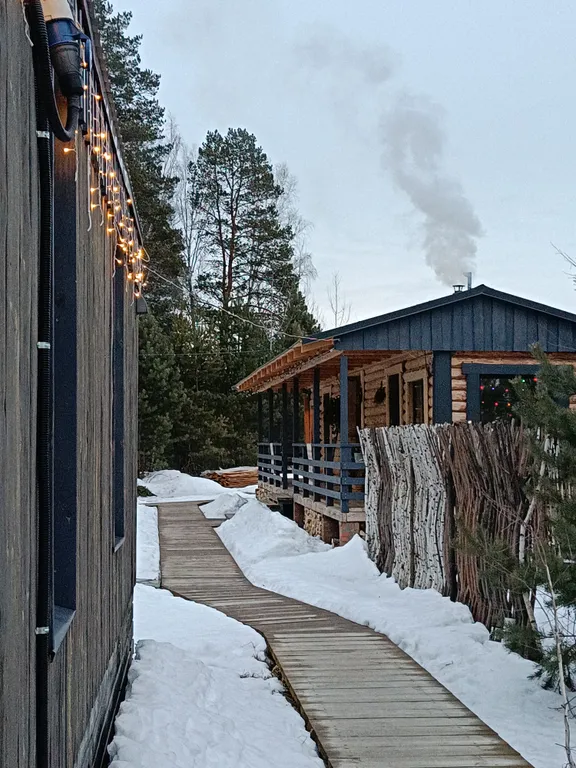 Темный домик на опушке леса