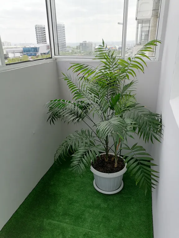 Квартира Уютная квартира на Взлетке — Красноярск