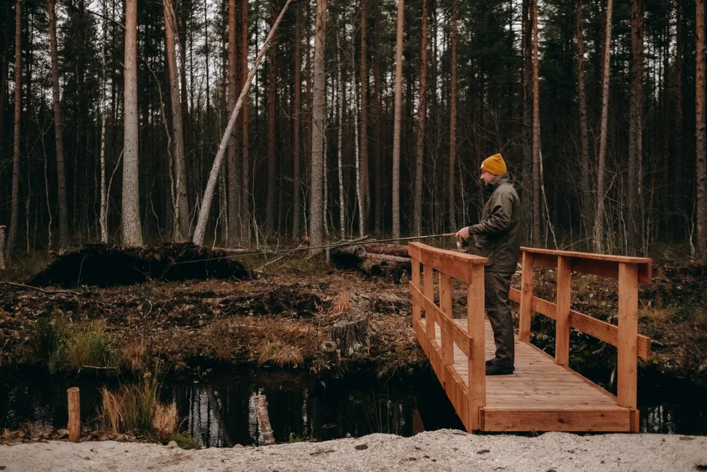 Коттедж Уютный дом у леса — Борисово