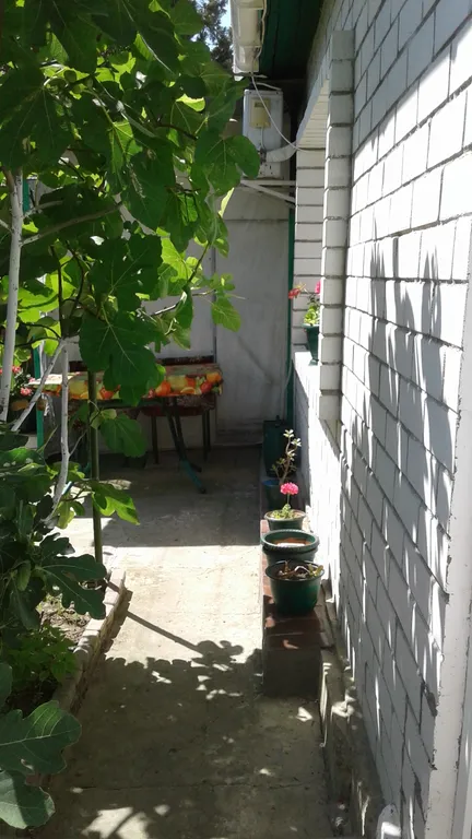 Уютная однокомнатная квартира с зеленым двором